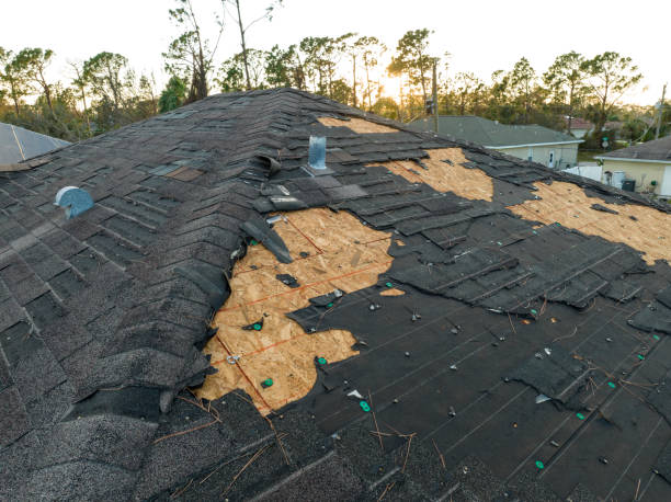Skylights in Hammonton, NJ